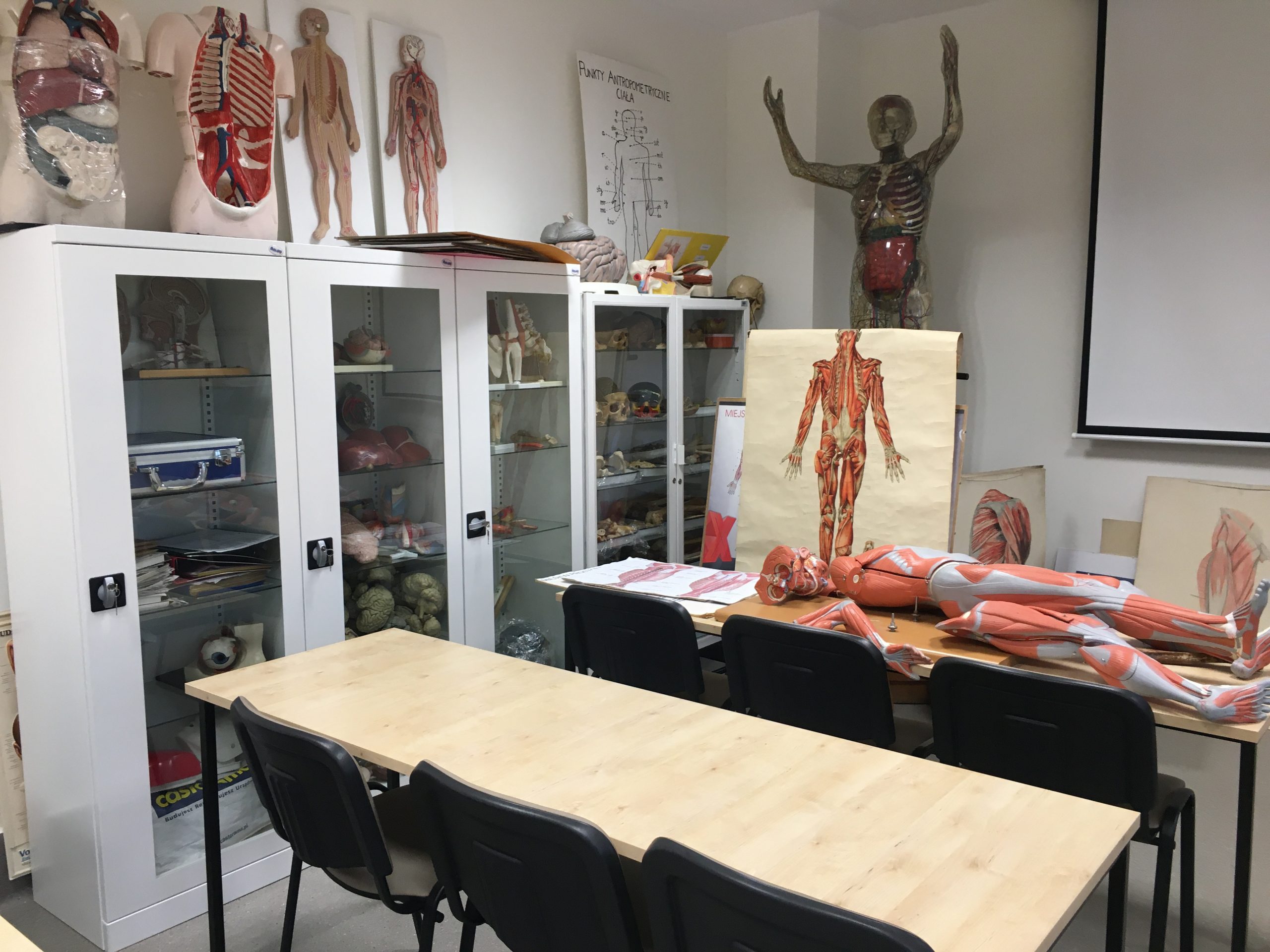 sala do zajęć z anatomii